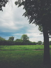 Scenic view of field against sky