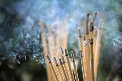 Incense burning to worship sacred objects or to worship the lord buddha.