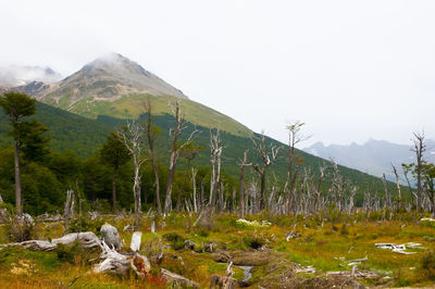 Scenic view of mountains against clear sky