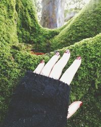 View of hand on moss