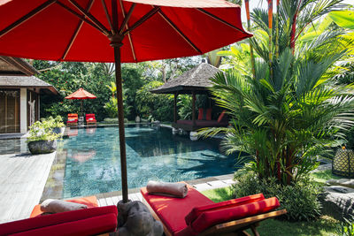 Indonesia, bali, poolside of luxurious villa in summer