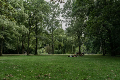 People in a park