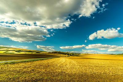 Scenic view of field against sky