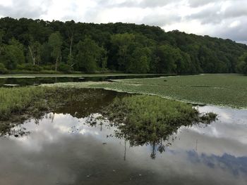 Scenic view of lake in forest against sky
