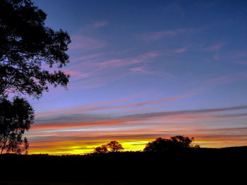 Silhouette trees on landscape against sky at sunset