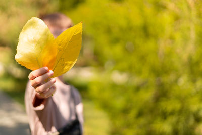 Close-up of hand holding yellow flower