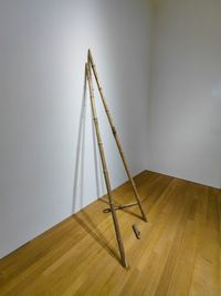 hardwood floor