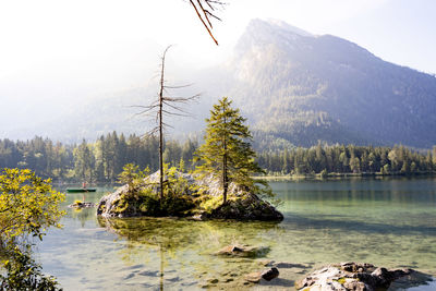 Scenic view of lake and pine trees against sky