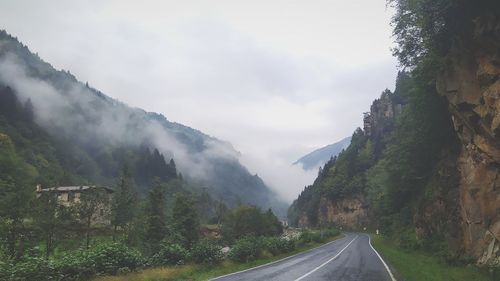 Road amidst trees against sky