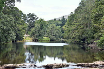 Scenic view of lake by trees against sky