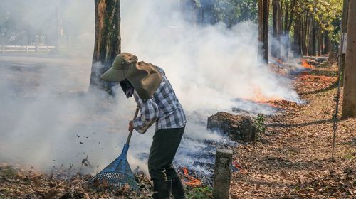 Man sweeping in forest