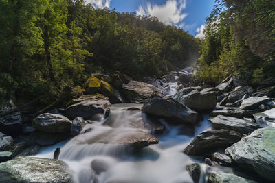 Scenic view of waterfall in forest