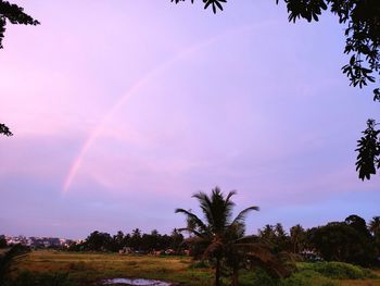 Scenic view of rainbow over trees on field against sky