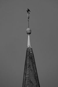 Low angle view of bird on building against sky