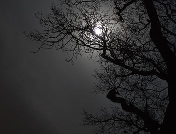 Low angle view of silhouette bare tree against sky at night