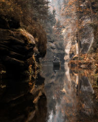 Reflection of trees in lake