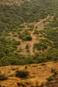 High angle view of land