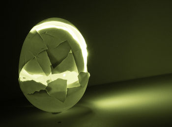 Close-up of illuminated leaf against white background