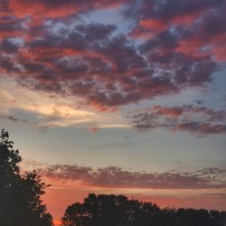 Low angle view of silhouette trees against sky at sunset