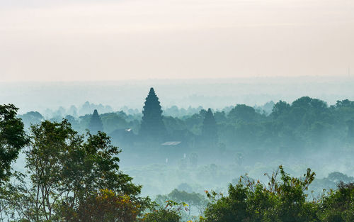 Scenic view of trees and mountains against sky