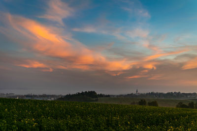 Scenic view of field against sky during sunset