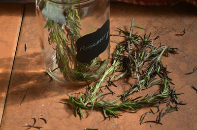 Close-up of rosemary herb in jar and table