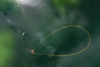 High angle view of turtle in lake