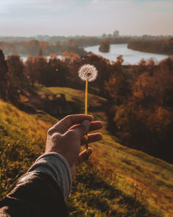 Close-up of person holding dandelion against sky