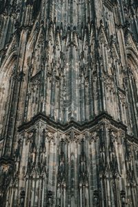 Low angle view of trees against sky