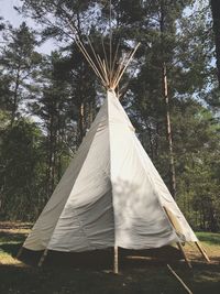 Tent in field against trees in forest