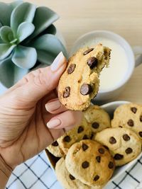 Cropped hand of person holding cookies