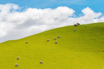 Scenic view of green landscape against sky