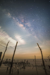 sky