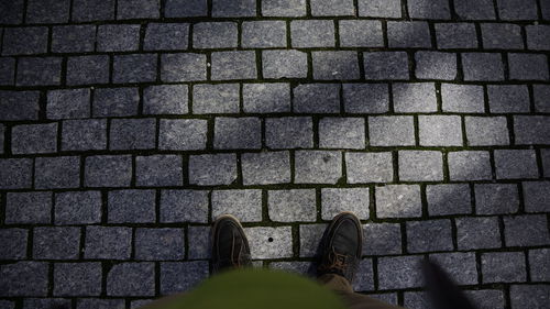 Low section of person standing on cobblestone footpath