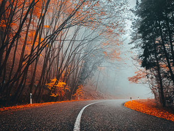 Empty road amidst trees during autumn