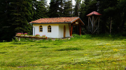 View of houses and trees