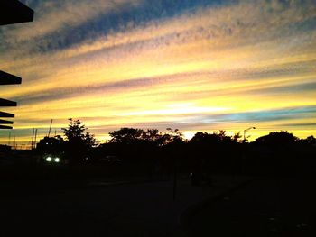 Silhouette of trees at sunset