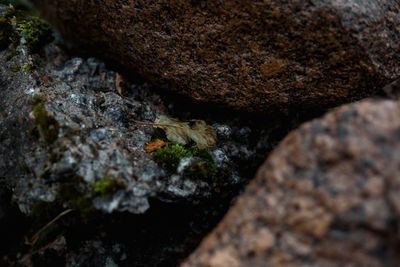 High angle view of rocks on rock