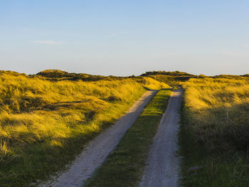 Dirt road among sand dunes