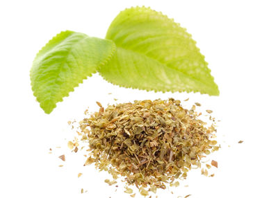 Close-up of fresh green leaves against white background