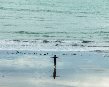 Birds on beach