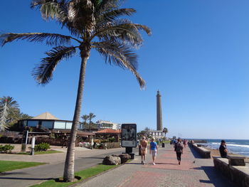 Palm trees by sea against clear sky