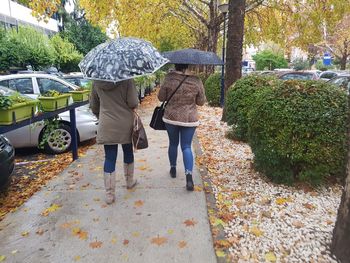 Rear view of people walking on sidewalk