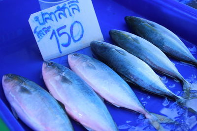 High angle view of fish for sale in market