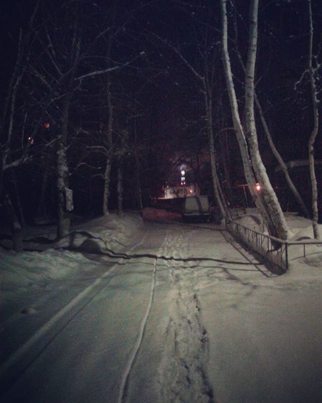 night, illuminated, transportation, bare tree, tree, winter, snow, street light, street, the way forward, cold temperature, road, lighting equipment, land vehicle, mode of transport, outdoors, dark, car, no people, light - natural phenomenon