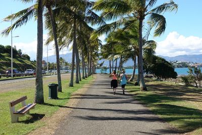 Rear view of women amidst palm trees against sky