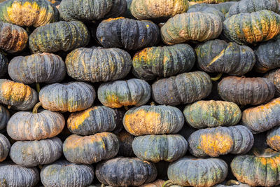 Full frame shot of pumpkins