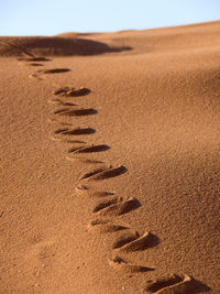 Footprints on sand in desert