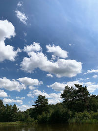 Low angle view of trees on field against sky