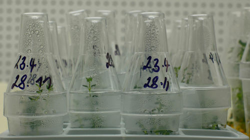 Close-up of glass bottle with text